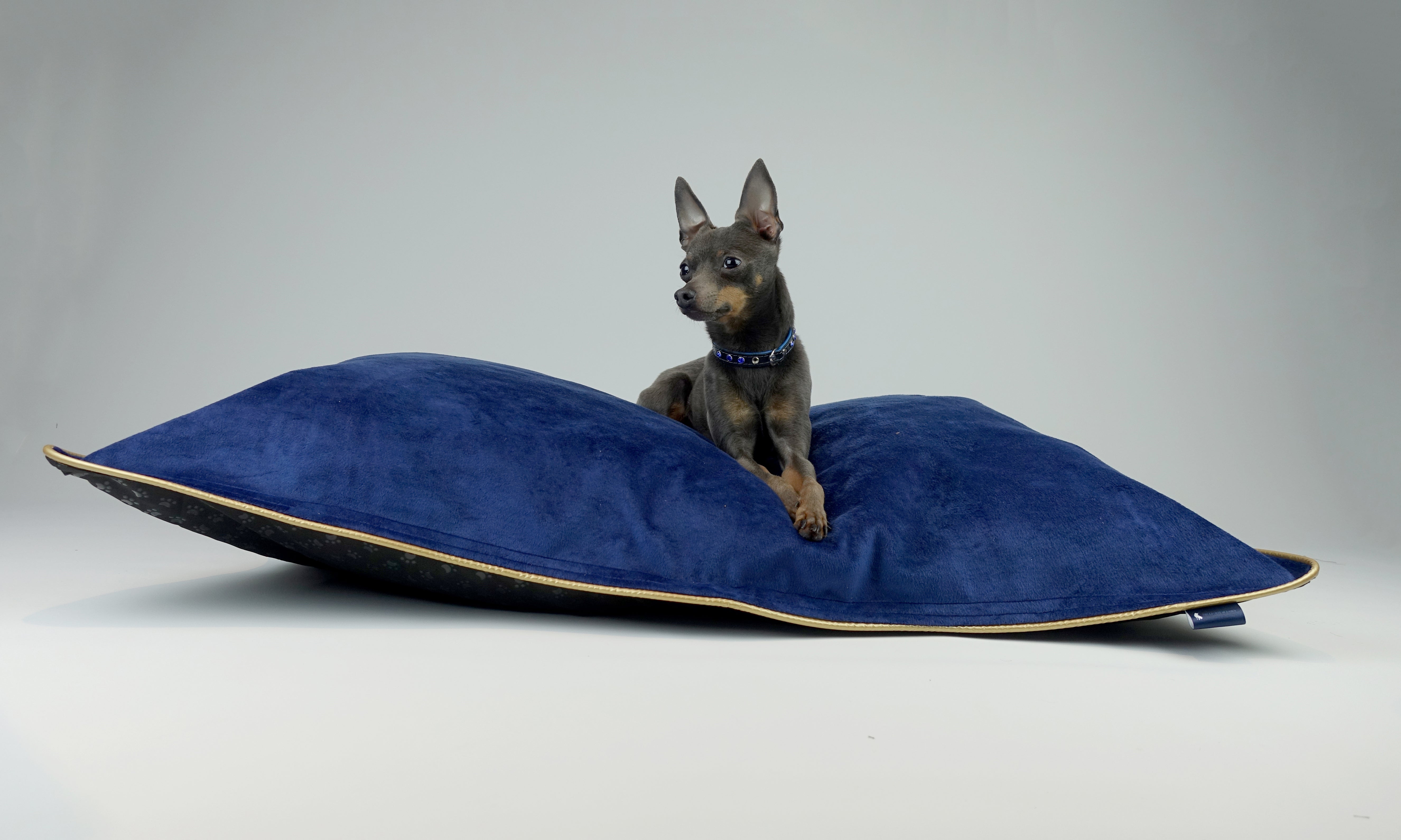 Scuff Tough Dog Bed - Blue Velvet