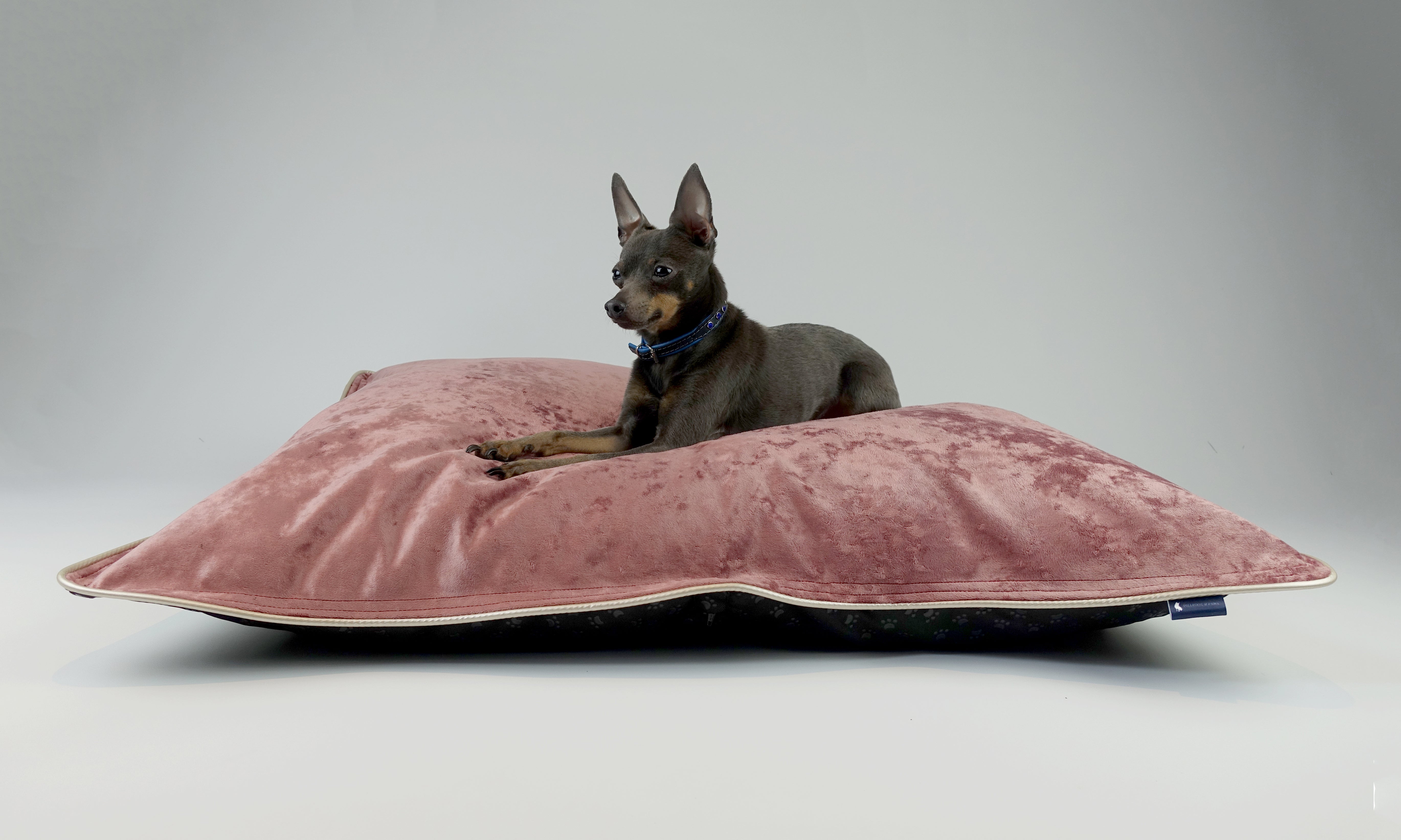 Scuff Tough Dog Bed - Pink Velvet