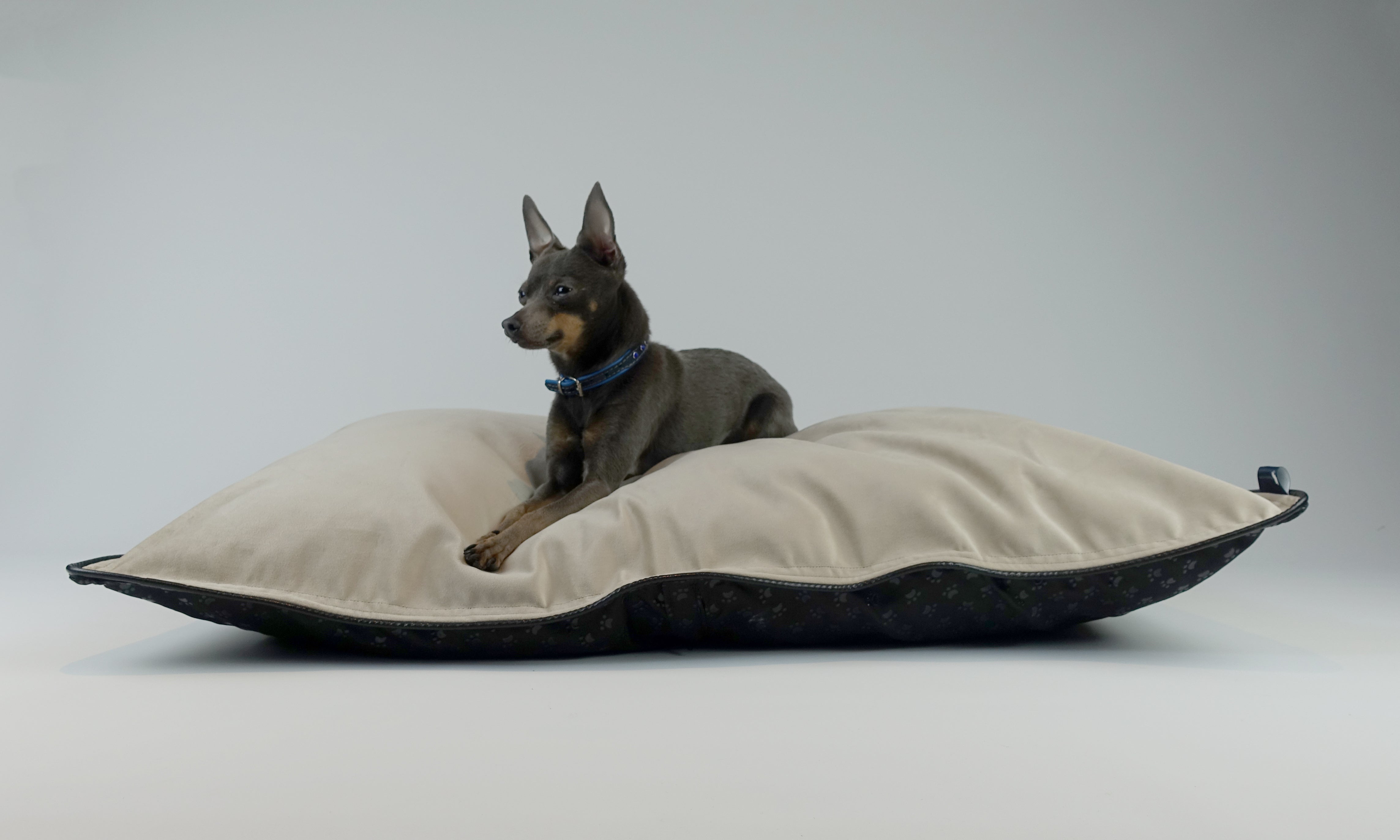 Scuff Tough Dog Bed - Smooth Beige